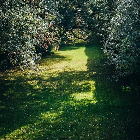 Quinta De Casevel - Terra Cheia Casa de Campo *